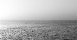 Aponiente - Ángel León - El Chef del Mar