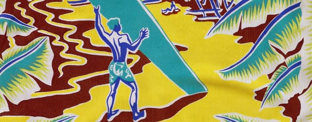 The Aloha Shirt: Spirit Of The Islands